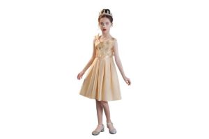 Cichic Girls Elegant Dresses Girls Dress for Party