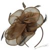 DRESHOW Fascinators Hat for Women Cocktail Tea Party