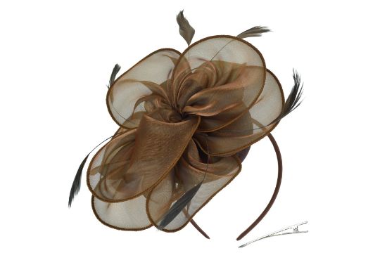 DRESHOW Fascinators Hat for Women Cocktail Tea Party