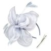 DRESHOW Fascinators Hat for Women Cocktail Tea Party