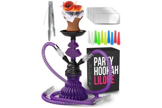 Shisha Set with 2 Hose 11inch Premium Portable Mini Hookah