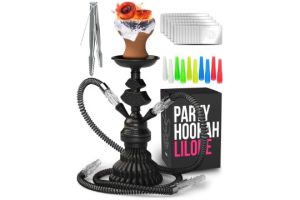 Shisha Set with 2 Hose 11inch Premium Portable Mini Hookah