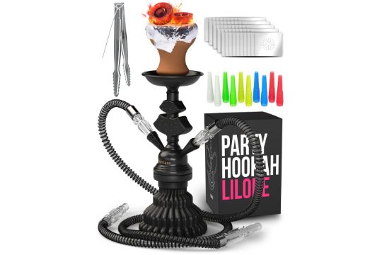 Shisha Set with 2 Hose 11inch Premium Portable Mini Hookah