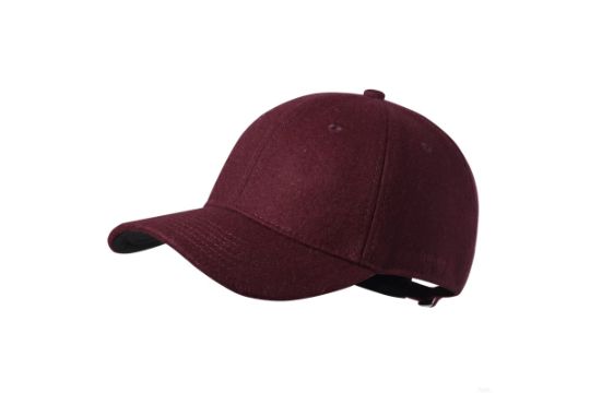 GADIEMKENSD Winter Baseball Cap