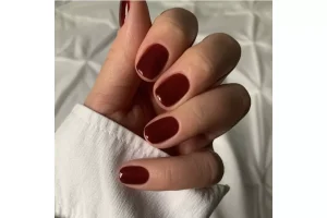 Sethexy Wine Red Press on Nails