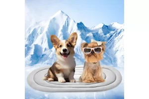 RRP £11.01 2-in-1 Dog Mat Large 90 50cm 2-in-1 Dog Mat Large 90 50cm