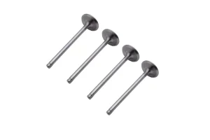 RRP £17.99 4 X Inlet Valves Intake Valves Compatible with 106 4 X Inlet Valves Intake Valves Compatible with 106