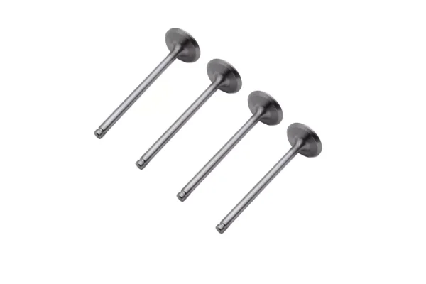 4 X Inlet Valves Intake Valves Compatible with 106