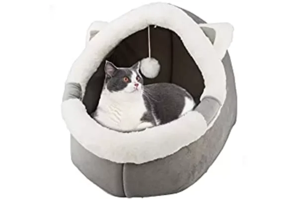 Cat Beds for Indoor with Hanging toy